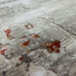 Royal Hali Area Rug - Image 4