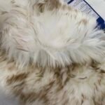 Australian Sheepskin Rug - Cream/Brown - Image 3