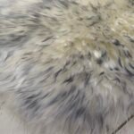 Australian Sheepskin Rug - Cream/Grey - Image 3