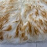 Australian Sheepskin Rug - Cream/Gold - Image 2