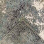 Isidra Area Rug - Satori multi - Image 5