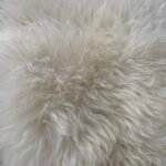 Australian Sheepskin Rug - White - Image 4