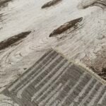 Sample Area Rug - Numune - Image 5